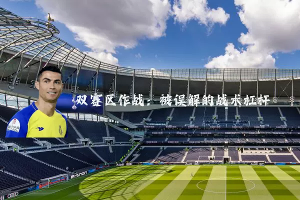 双赛区作战:被误解的战术杠杆
