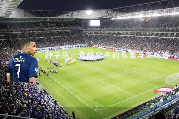 种子队:竞技公平的表象与深层博弈